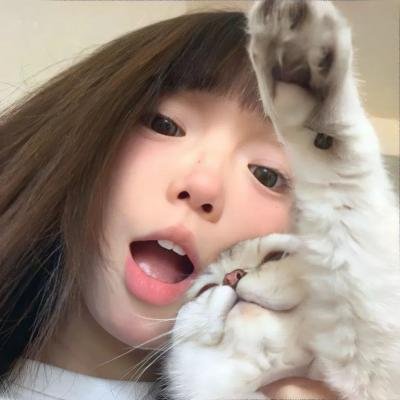 疯狂的契约 封面