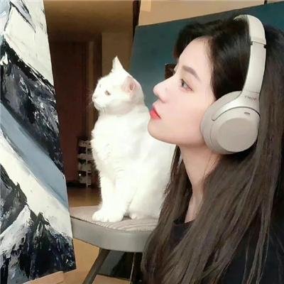 白雪公主和七个小矮人 封面